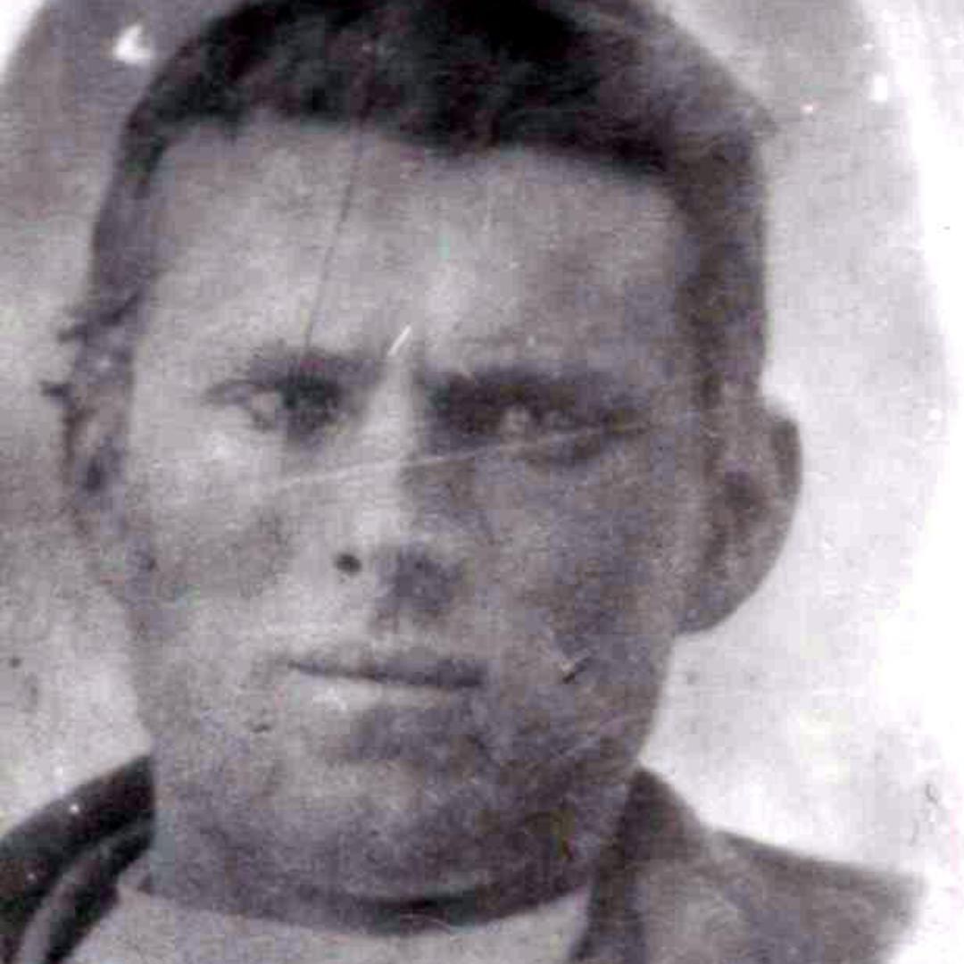 Amburs Evit Draper (1850 - 1917) Profile